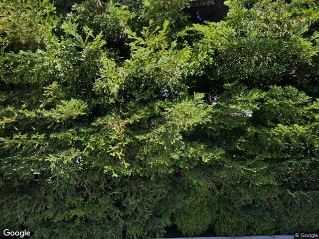 47 Shearer Dr, Atherton, CA