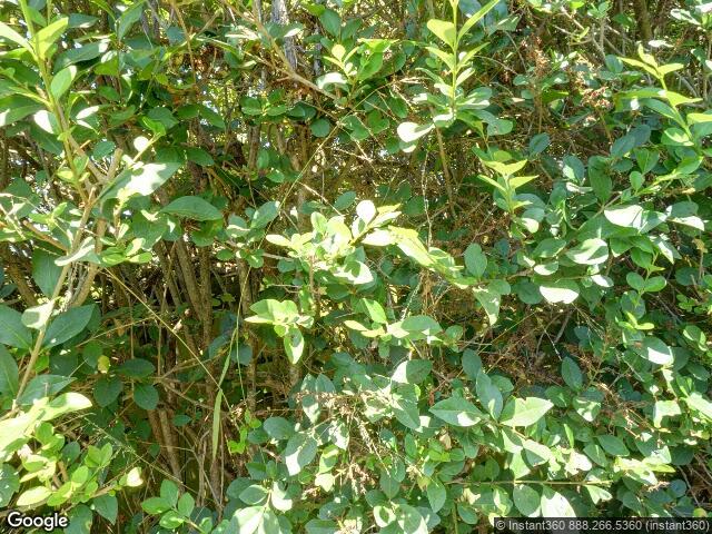 3275 Shoreline Hwy, Stinson Beach, CA