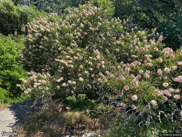 40 - 42 Arenal Avenue, Stinson Beach, CA