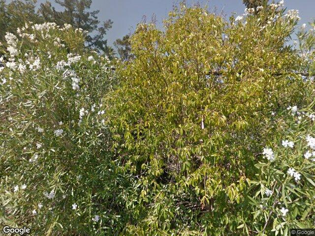 19315 San Marcos Rd, Saratoga, CA 95070