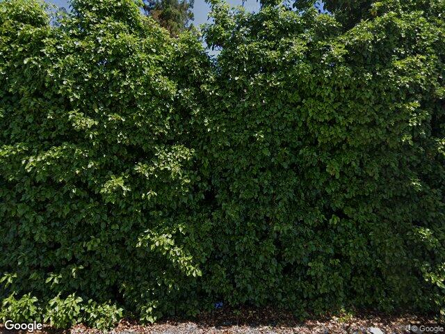 19426 Vineyard Ln, Saratoga, CA 95070