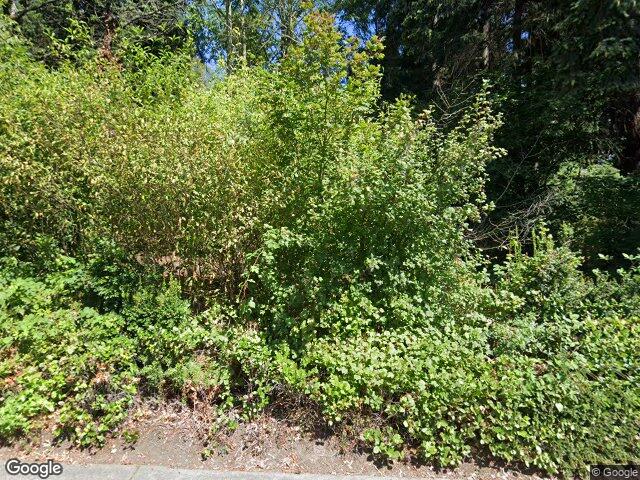 1778 Bellevue Way NE, Bellevue, WA 98004