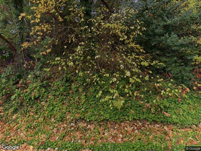 14509 SE 41st Lane, Bellevue, WA 98006