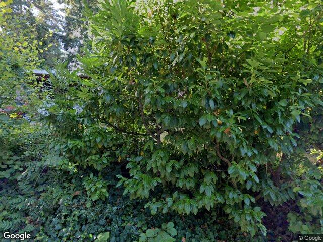 4329 86th Avenue SE, Mercer Island, WA 98040