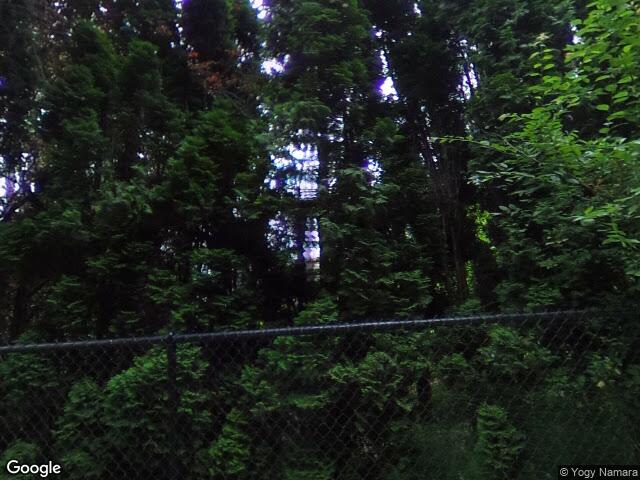 485 E Lake Sammamish Pkwy SE, Sammamish, WA 98074