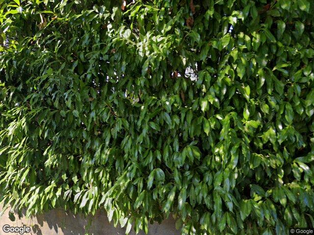 740 22nd Ave E, Seattle, WA 98112